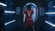 College Football GIF by gamecocksonline