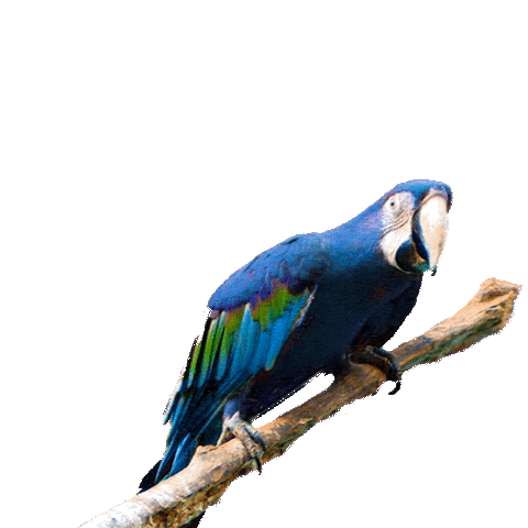 futbol var Sticker by Movistar España