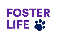 Petco Foundation Foster Sticker by Petco Love