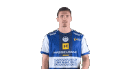 Handball-Bundesliga Sport Sticker by LIQUI MOLY HBL