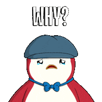 Why Me No Sticker by Pudgy Penguins