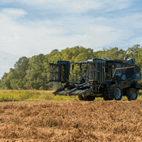 Avanti GIF by Industrias Colombo