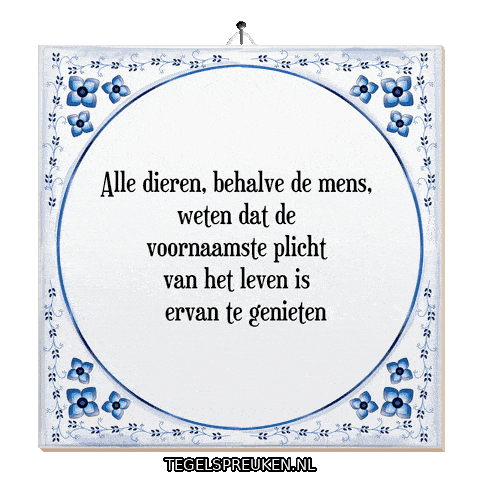 Moment Wijsheid Sticker by Tegelspreuken.nl