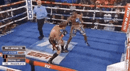 toprank boxing fighting champion espn GIF