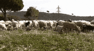 GIF by betevé