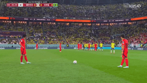 qwerpoiu22ppop giphyupload GIF