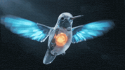 GIF by Videira Digital