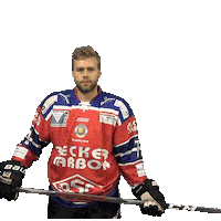 Hockey Stloukal Sticker by dsc-eishockey