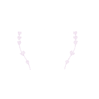 bohindiestream bohindiestream bohindie stream bohindie bohindie of the day Sticker