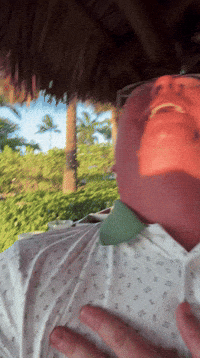 Laugh Laughing GIF
