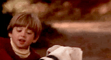 homeward bound 90s GIF