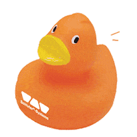 SchluterSystemsNA schlüter schluter systems schluter duck flood test fred Sticker