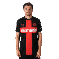 Posing Bayer 04 Sticker by Bayer 04 Leverkusen