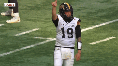 Tiger-Cats Touchdown GIF by Hamilton Sports Group