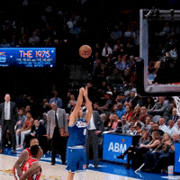 Cant See Me Bogdan Bogdanovic GIF by Sacramento Kings