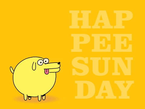 Happy Sunday