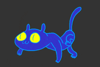 art cat GIF by Jason Clarke