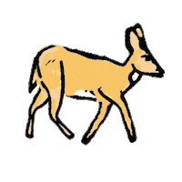 Wolf Sivar Sticker by Loto El Salvador