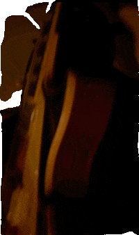 Dance Party GIF by Silver Tooth Cactus