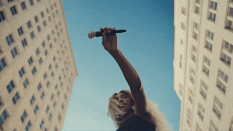 HudsonRougeNewYork giphygifmaker mic drop lincoln serena GIF