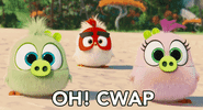 angrybirdsmovie2 cwap GIF