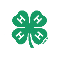 Excited 4-H Sticker by ISUExtension