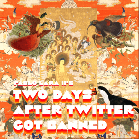 pablolarah giphyupload GIF