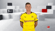 Football Soccer GIF by Bundesliga