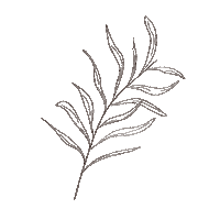 muylula natural leaf boho naturaleza Sticker