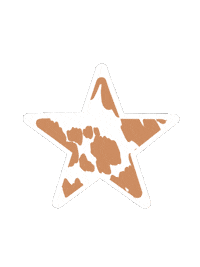 Star Bachelorette Sticker
