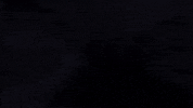 Animation Halloween GIF by Nova Sound