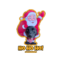 Dog Christmas Sticker