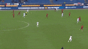 olsen GIF by nss sports