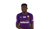 Goal Yes Sticker by ACF Fiorentina