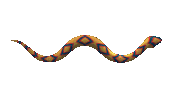 srdags snake srdags Sticker
