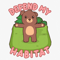 Teddy Bear Wildlife GIF by BEARISH