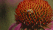 GIF by RiTE Media
