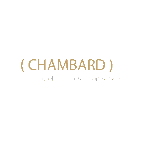 lechambard giphygifmaker logo rotation chambard Sticker