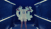 North Carolina GIF by UNC Tar Heels