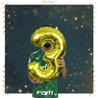 Soccer Futebol GIF by SE Palmeiras