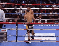 toprank fight boxing fighting espn GIF