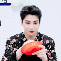 X1 Hangyul GIF