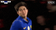Chelsea Fc Football GIF