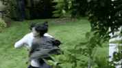 tackle GIF by Blindspot
