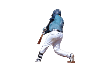 Bat Mike Sticker by Senago Baseball