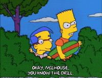 Season 7 Episode 25 GIF by The Simpsons