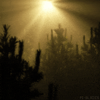 Art Loop GIF by Pi-Slices