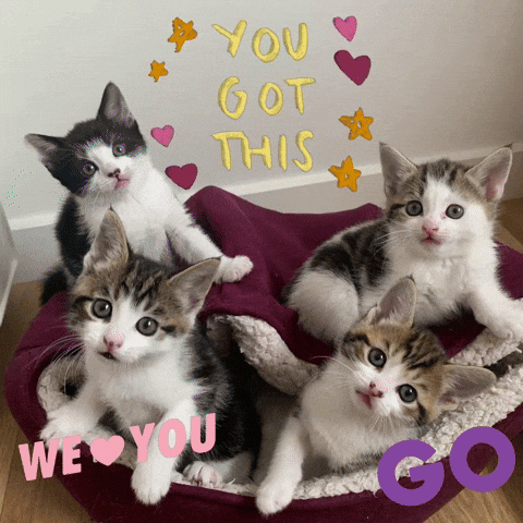 You Got This Go For It GIF