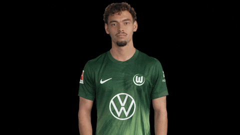 Like A Boss Deal With It GIF by VfL Wolfsburg