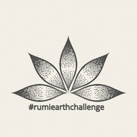 rumiearth  GIF